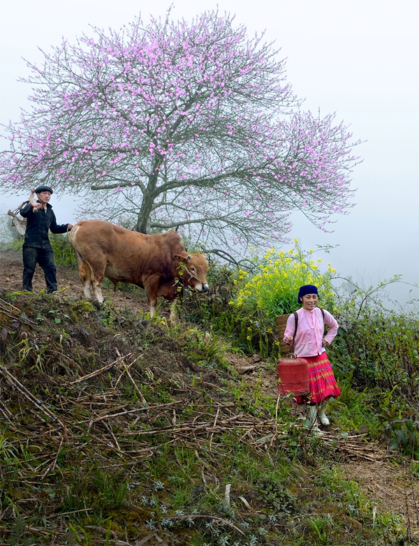 120. Đường về – Võ Văn Hoàng