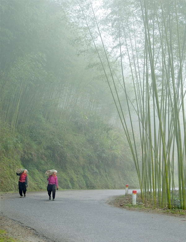 122. Về nhà – Võ Văn Hoàng