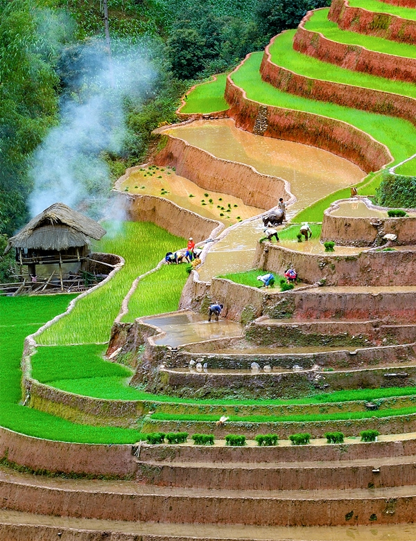 123. Quê hương – Võ Văn Hoàng