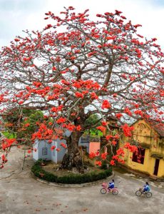 128. Sắc màu tháng Ba – Võ Văn Hoàng