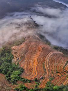 148. Sắc màu của núi – Vũ Mạnh Cường