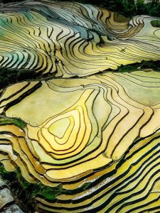 149. Sắc màu Sàng Ma Sáo – Vũ Mạnh Cường