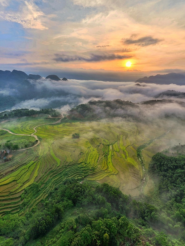 151. Pù Luông lúa và mây – Vũ Mạnh Cường