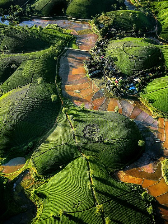 153. Nắng trung du – Vũ Mạnh Cường