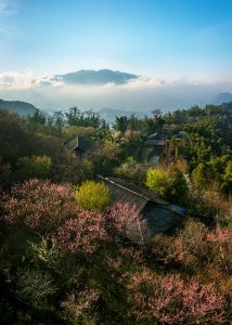 174. Sâu Chua – Lê Việt Khánh