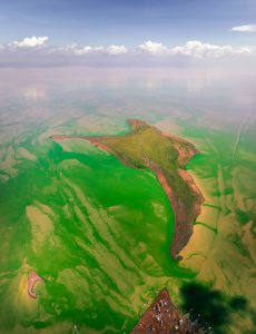 178. Bến Nôm mùa tảo xanh – Nguyễn Tấn Tuấn