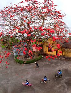 181. Con đường đến trường – Bùi Quốc Sỹ