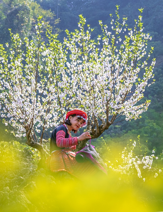 184. Mùa xuân về – Khắc Hường