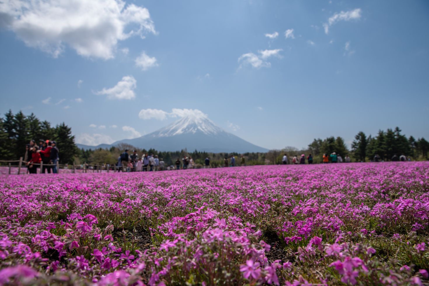 158.Best Mountain of Mountains – Masaki Nakamura