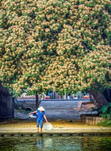 191. Bến quê – Nguyễn Hải