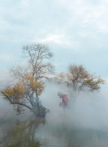 195. Sắc thu – Nguyễn Hải