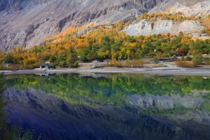 Lá vàng, tuyết và nụ cười