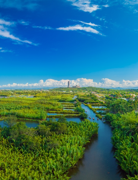 206. Rừng dừa nước Tinh Khê – Alex Cao