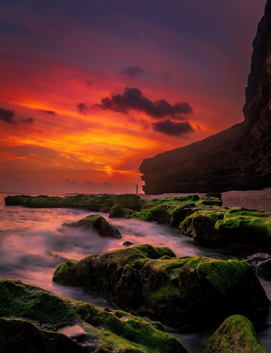 209. Lý Sơn mùa rêu – Alex Cao