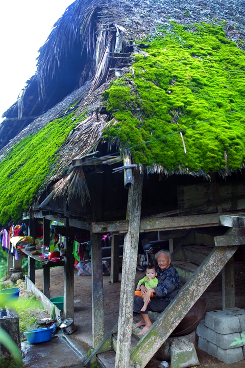 216. Yên Bình Khuổi Mi – An Thành Đạt