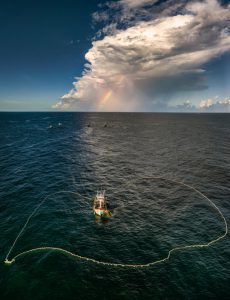 239. Mùa lưới vay – Nguyễn Tấn Tuấn