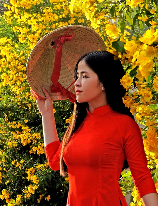 242. Dáng xuân – Phạm Minh Giảng