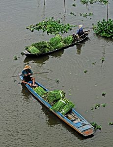 244. Trên sông – Phạm Minh Giảng