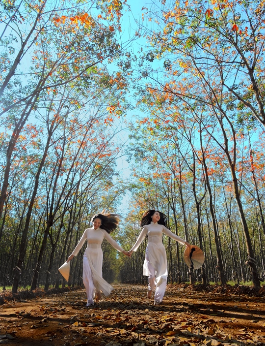 263. Mùa thay lá – Phạm Minh Giảng