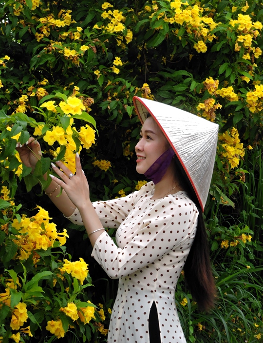 278. Tươi xuân – Phạm Minh Giảng