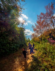 280. Xuân về trên bản – Vũ Lâm