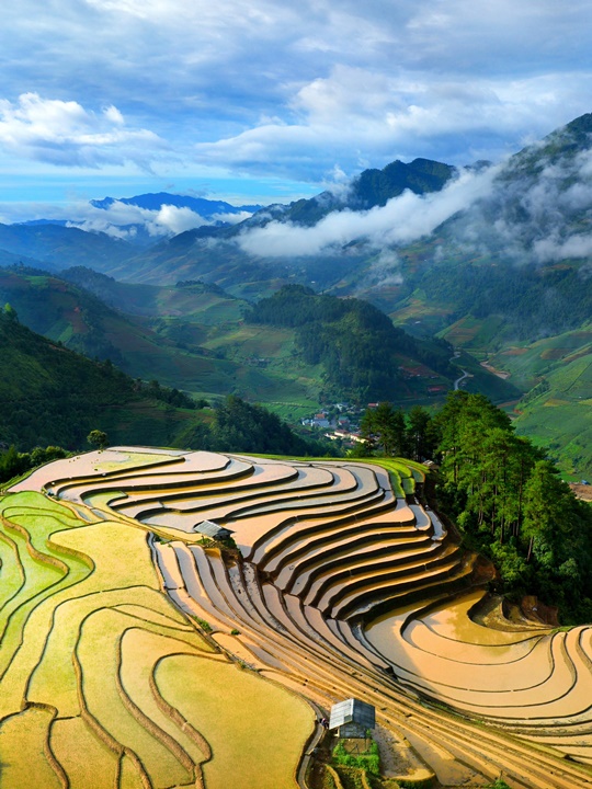 281. Sắc màu quê tôi – Vũ Mạnh Cường