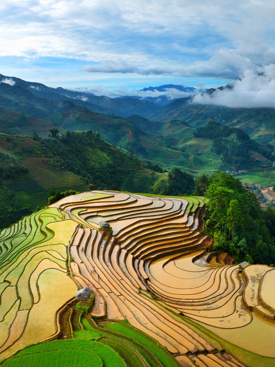 285. Nắng sớm vùng cao – Vũ Mạnh Cường