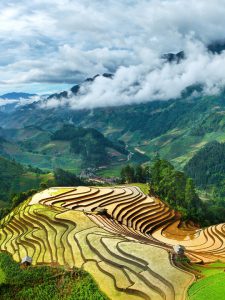 287. Bình minh Mù Cang Chải – Vũ Mạnh Cường