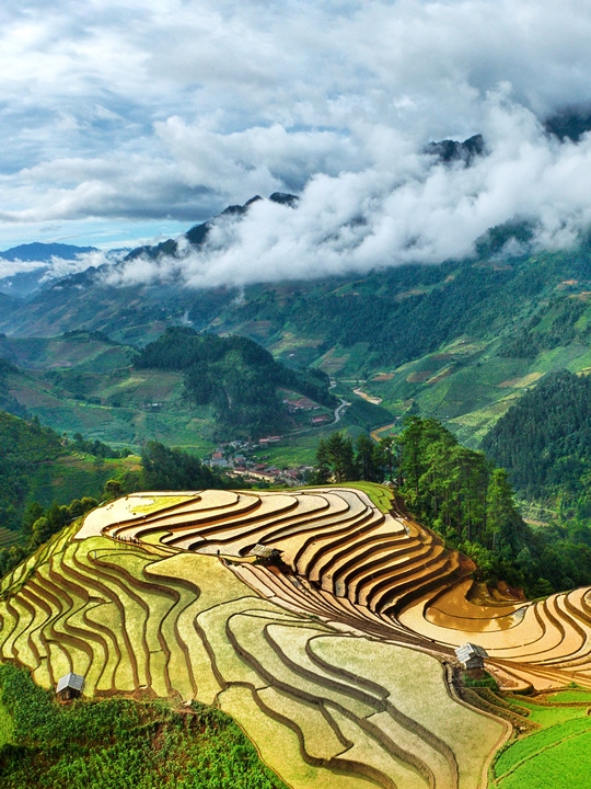 286. Sắc màu vùng cao – Vũ Mạnh Cường