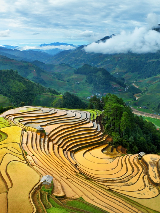 288. Sắc màu Mù Cang Chải – Vũ Mạnh Cường