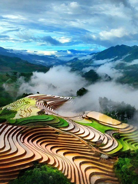 289. Mù Cang Chải trong mây – Vũ Mạnh Cường