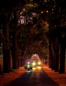 305. Ban mai xanh – Vũ Lâm