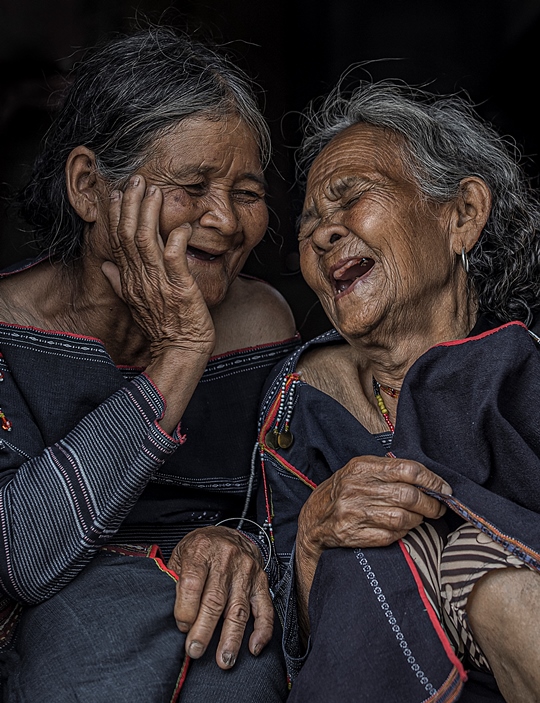 306. Đôi bạn già – Vũ Lâm