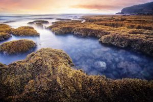 110.Mùa rong mơ Bãi Bàng – Kiều Nguyên Hiền Triết