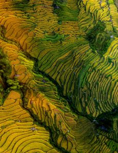 402. Nét vẽ của tạo hóa – Vũ Lâm