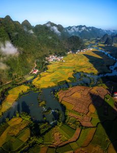 405. Những mảng màu của lúa – Vũ Lâm