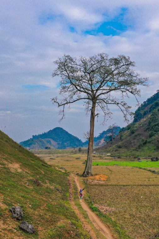 416. Chiều gánh củi – Đặng Hoài Anh