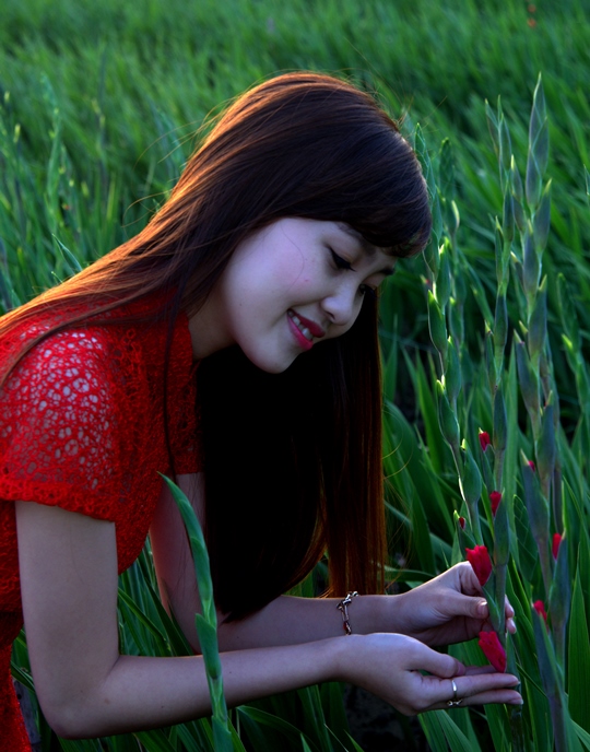 430. Sắc xuân làng rau Ngọc Lãng – Lê Ngọc Minh