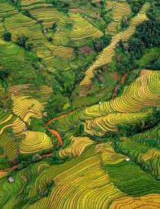 437. Lao Chải – “Nàng thơ” lọt thỏm giữa núi rừng Tây Bắc – Lê Hoàng Mến