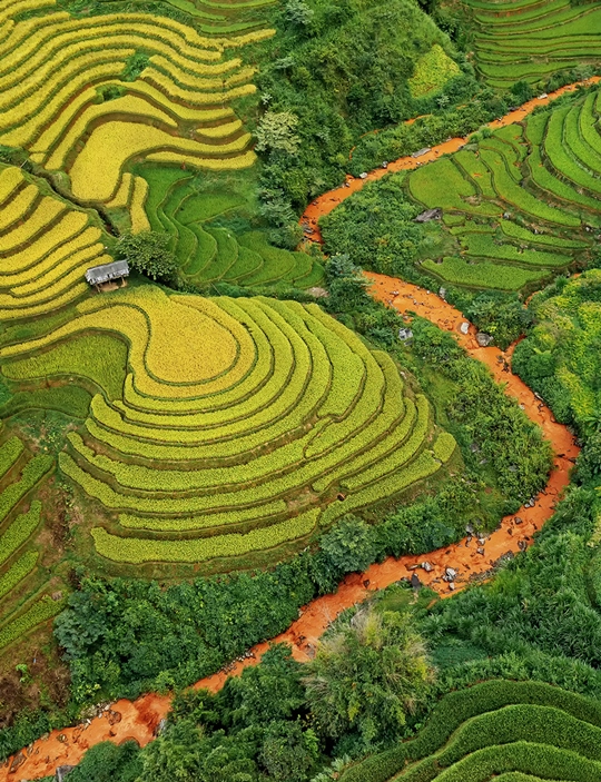 440. Ruộng bậc thang Lao Chải hùng vĩ – Lê Hoàng Mến