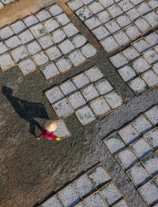 449. Phơi cá – Nguyễn Ngọc Cường