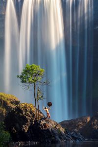 456. Tiếng vọng đại ngàn – Phạm Quốc Dũng