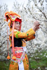 467. Hoa mận xứ Lạng – Nguyễn Sơn Tùng