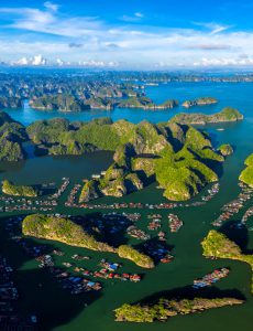 489. Chợ Cái Bèo – Vũ Lâm