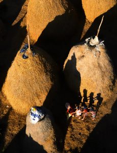 504. Rồng rắn lên mây – Vũ Lâm