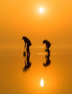 507. Thân cò – Vũ Lâm