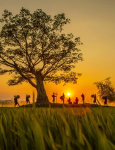 509. Vũ điệu cồng chiên – Vũ Lâm