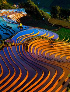 517. Nét vẽ vùng cao – Vũ Lâm