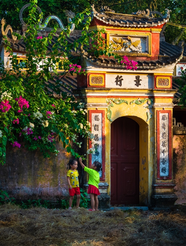 518. Đình làng Lương Ngọc – Vũ Văn Tuấn