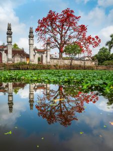 520.1 Đình Cao Xá 2 – Vũ Văn Tuấn